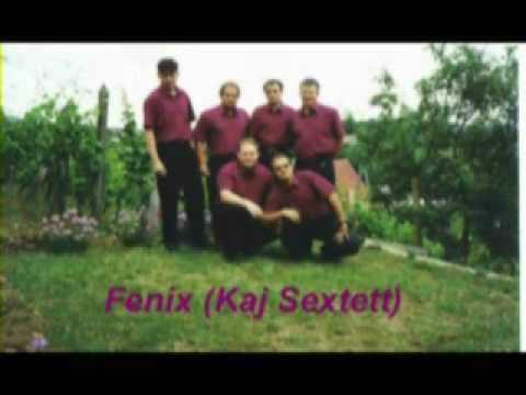 Još jenput da joj podragam lasi - Fenix (Kaj Sextett).WMV