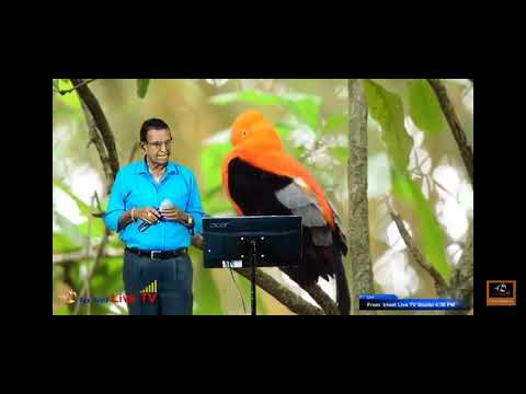 BHALE BHALE ANDALU SRUSTINCHAVU(Bhaktha Thukaram/Gantasala/Suseela/Adinarayanarai