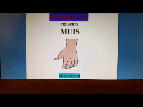 MUIS (VIDEO N:218)