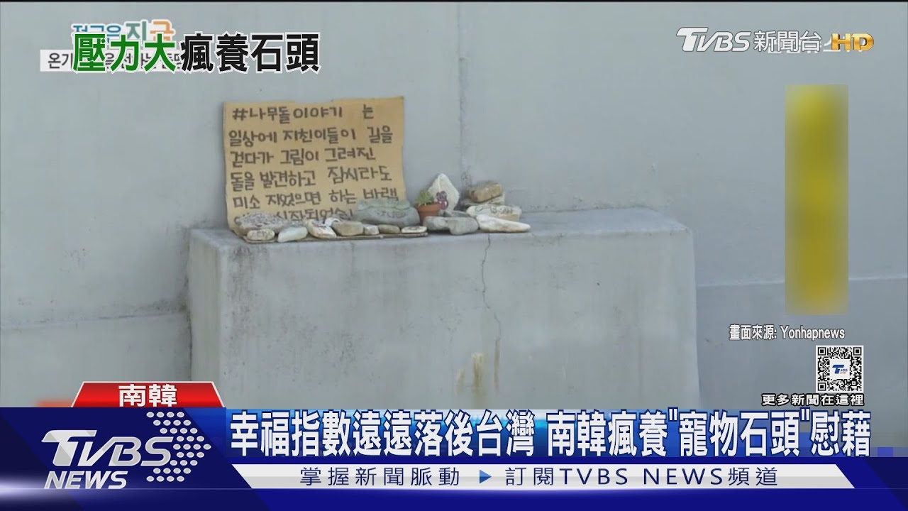 幸福指數遠遠落後台灣 南韓瘋養「寵物石頭」慰藉
