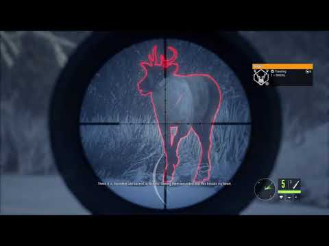 theHunter: Call of the Wild | Medved Taiga Missions: "The Wounded One"