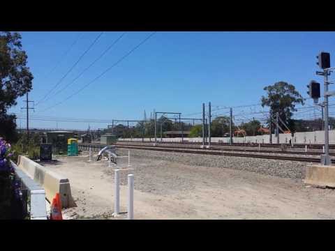 PACIFIC NATIONAL NR51/NR24/8250 ON 3NY3