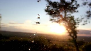 Lulu Rouge - Melankoli