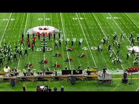 Cavaliers Bassque Feature 2021 FROM THE BOX!