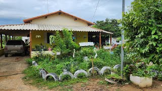 **DECIDIMOS NÃO VENDER MAIS NOSSO SÍTIO** SÍTIO A VENDA. BAIXEI O PREÇO DO MEU SÍTIO. VEJA PORQUE!