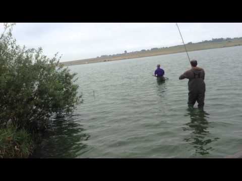 Прилбичі кубок сазан 2013