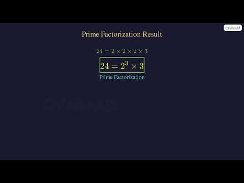 Number Patterns and Factors