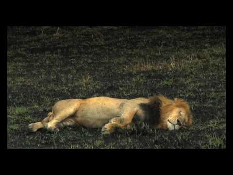 Venko Serafimov "WATER & FIRE BLUES" for Kiro Urdin's Film