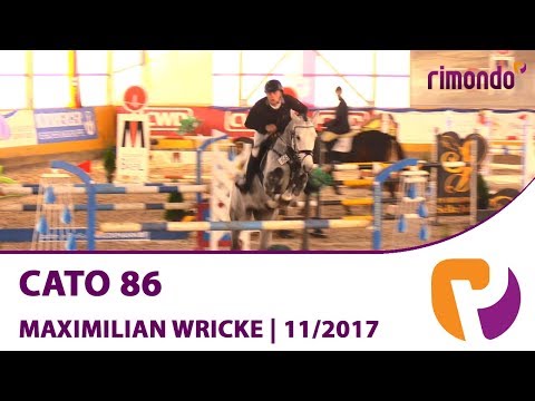 Cato 86 v. Cornet Obolensky / Calido I & Maximilian Wricke | Pausin 2017