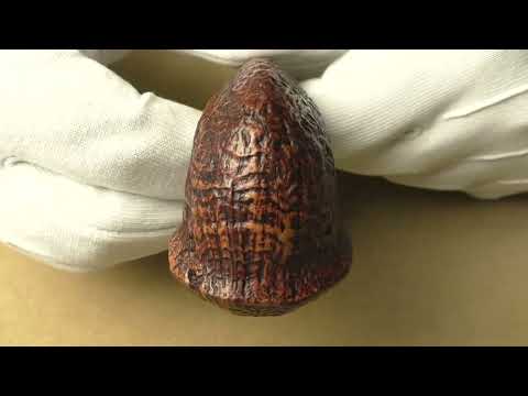 Viprati Sabbiata - pipe 574