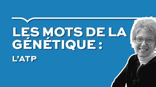 Les mots de la génétique : L'ATP