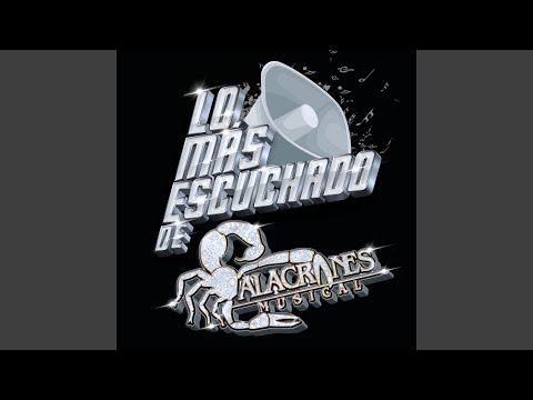 No Voy A Llorar - Alacranes Musical