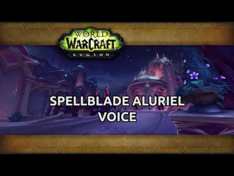 Spellblade Aluriel - Voice Over Nighthold [reupload]