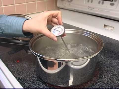 Maverick Instant-Read Food Thermometer - Saffire Grills