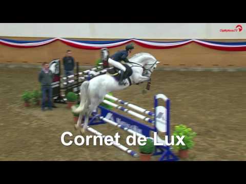 Stall VÖLZ - Hengst CORNET DE LUX v. Cornet Obolensky