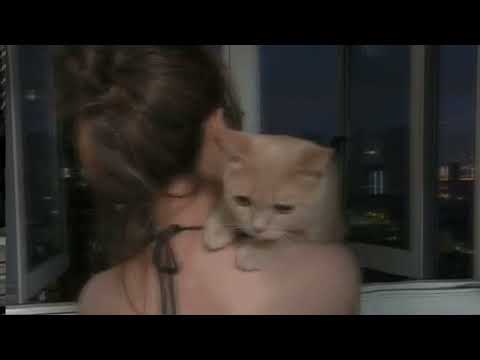 لو جاي فرجوع انساني