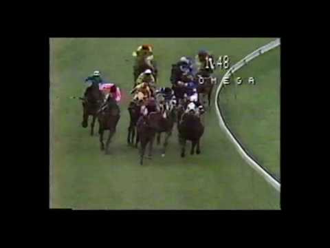 1987 Cox Plate - Rubiton