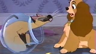 Lady and the Tramp (1955) - The Siamese Cat Song