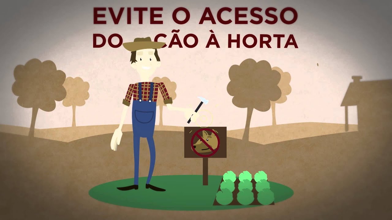 Vídeo Hidatidose SES/RS