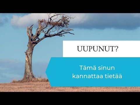 Toivon, että olisin tiennyt tämän uupumisesta ja toipumisesta