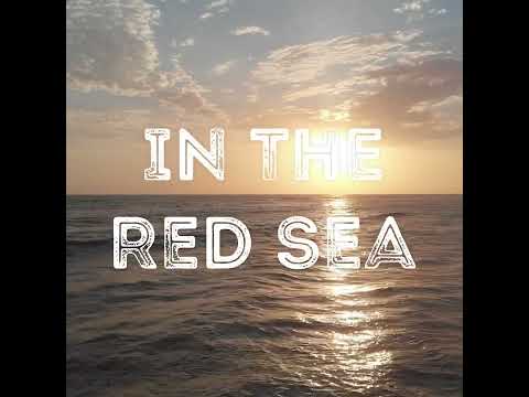 Liaison Property - SELL BUY RENT in Red Sea, Egypt