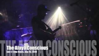 The Alaya Conscious - White Noise