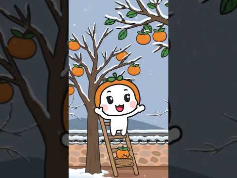 도리의 하루 - 곶감편