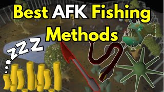 The 5 Best AFK Fishing Methods in OSRS