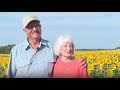 Sunflower surprise: Farmer gives wife 80 acres of sunflowers for 50th anniversary