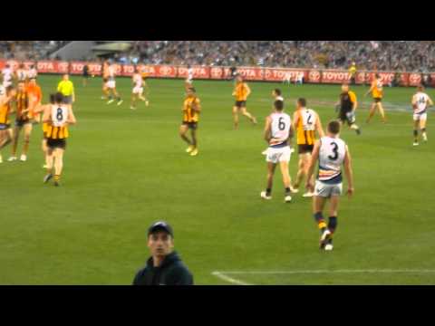 2012 - AFL Preliminary Final 1 Hawthorn v Adelaide - Breust Goal in 2nd QTR