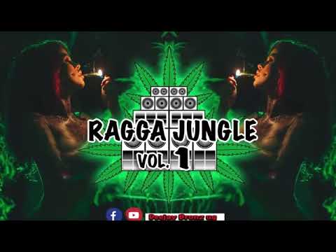 Ragga Jungle non-stop music by Mc HighTower X Dj Bronze.
