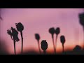 Bruno Sanfilippo - Cyclical