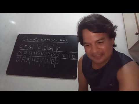 Tongue Blocking for Chromatic and Diatonic Harmonica Workshop