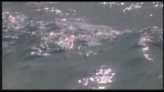 As Long As I Live - Blue Cheer