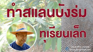 สวนตาก้าน ('64) : การทำสแลนบังร่มทุเรียนเล็ก