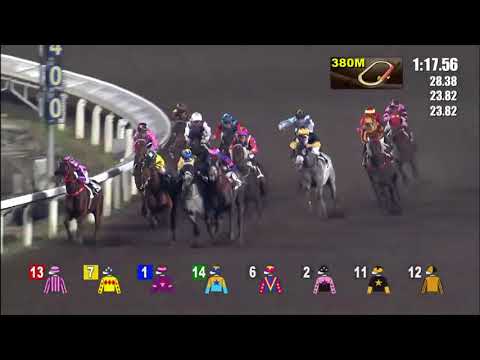 Imperial Concorde - Karis Teetan (1st November)