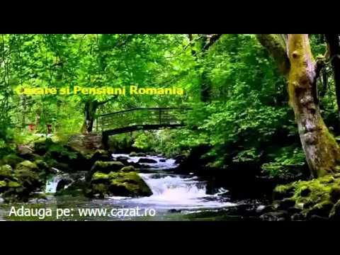 Cazare Manic, Bistrita Nasaud - Cazat.ro