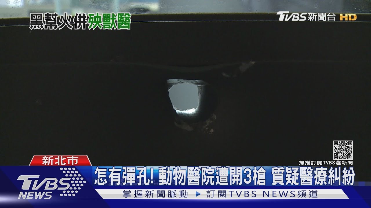 怎有彈孔!動物醫院遭開3槍 質疑醫療糾紛