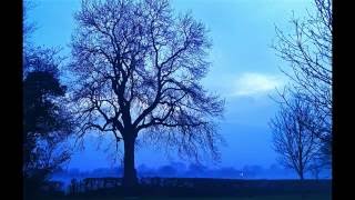 Broken Home, magic of the trees , Dicken, mr big