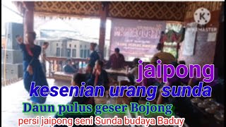 Download lagu Jaipong seni sunda budaya baduy Cisaban 2 Daun pulus pusar Bojong mp3 Download lagu Jaipong seni sunda budaya baduy Cisaban 2 Daun pulus pusar Bojong mp3