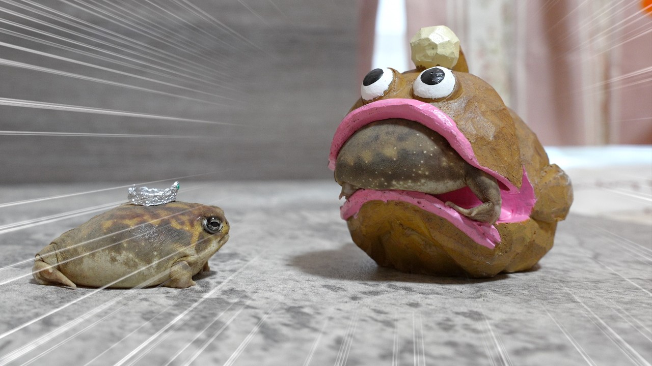 Escape! A monster is closing in on the Rain frog.