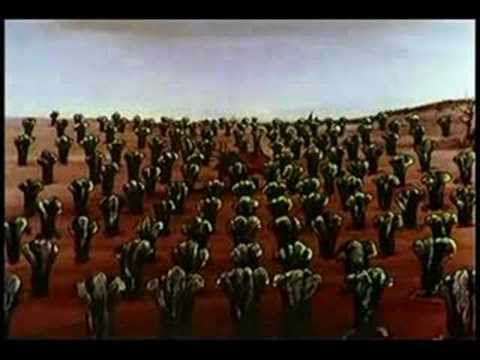 Saints Are Down - The Cult