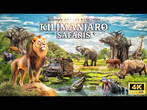 Zoo Tours: Kilimanjaro Safaris | Disney's Animal Kingdom (4K)