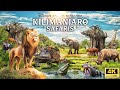 Zoo Tours Kilimanjaro Safaris Disney S Animal Kingdom 4K