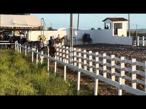VAQUEJADA PEDRO RÉGIS-PB PARTE-1