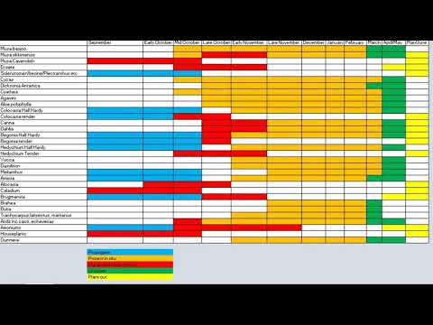 How to overwinter tender and half hardy exotics