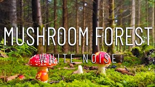 Mushroom forest | Enjoy the sounds of nature | Sleep | Relax