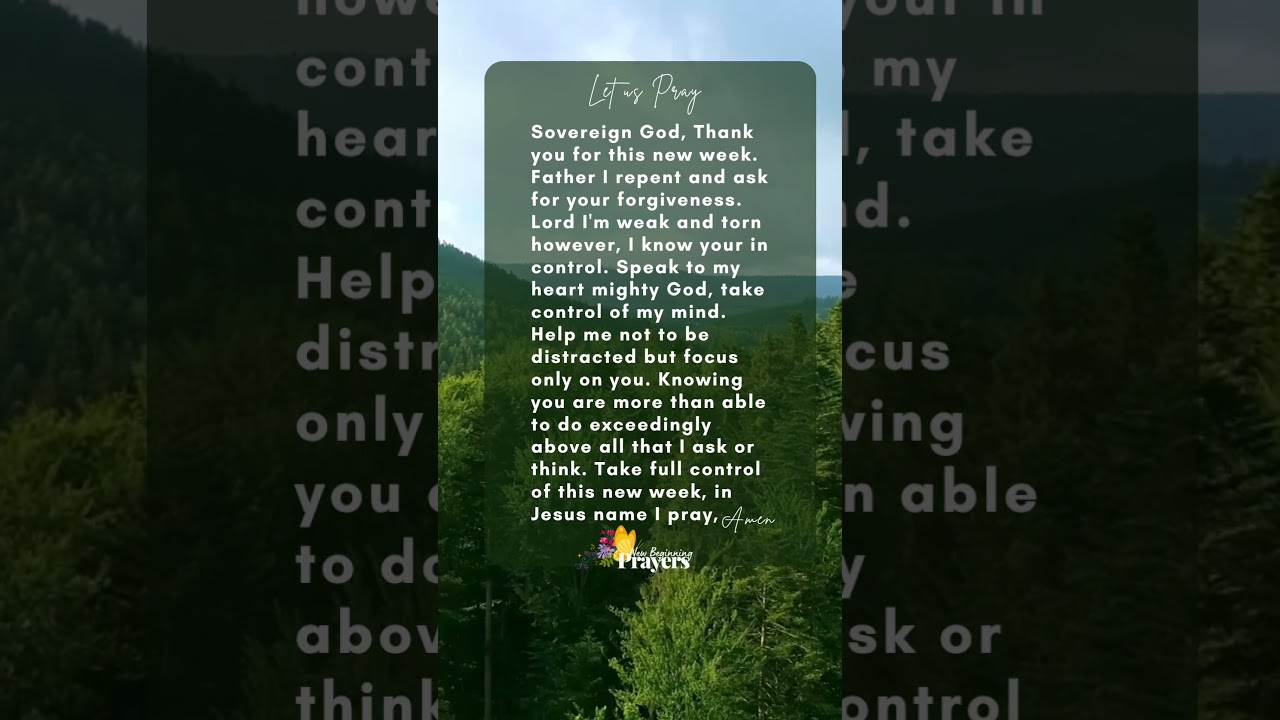 DONT GIVE UP! #dailyprayers #newbeginningprayers #faith #hope #spiritleadme