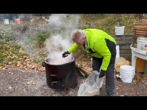 Bivax 231025   SD 480p