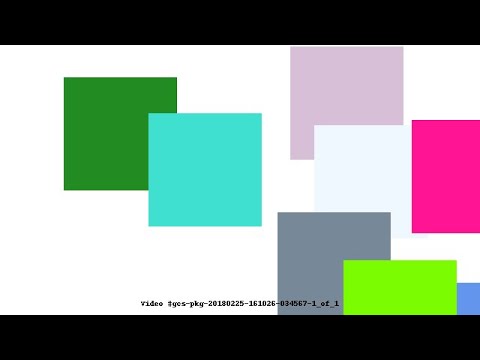 Video #gcs-pkg-20180225-161026-034567-1_of_1